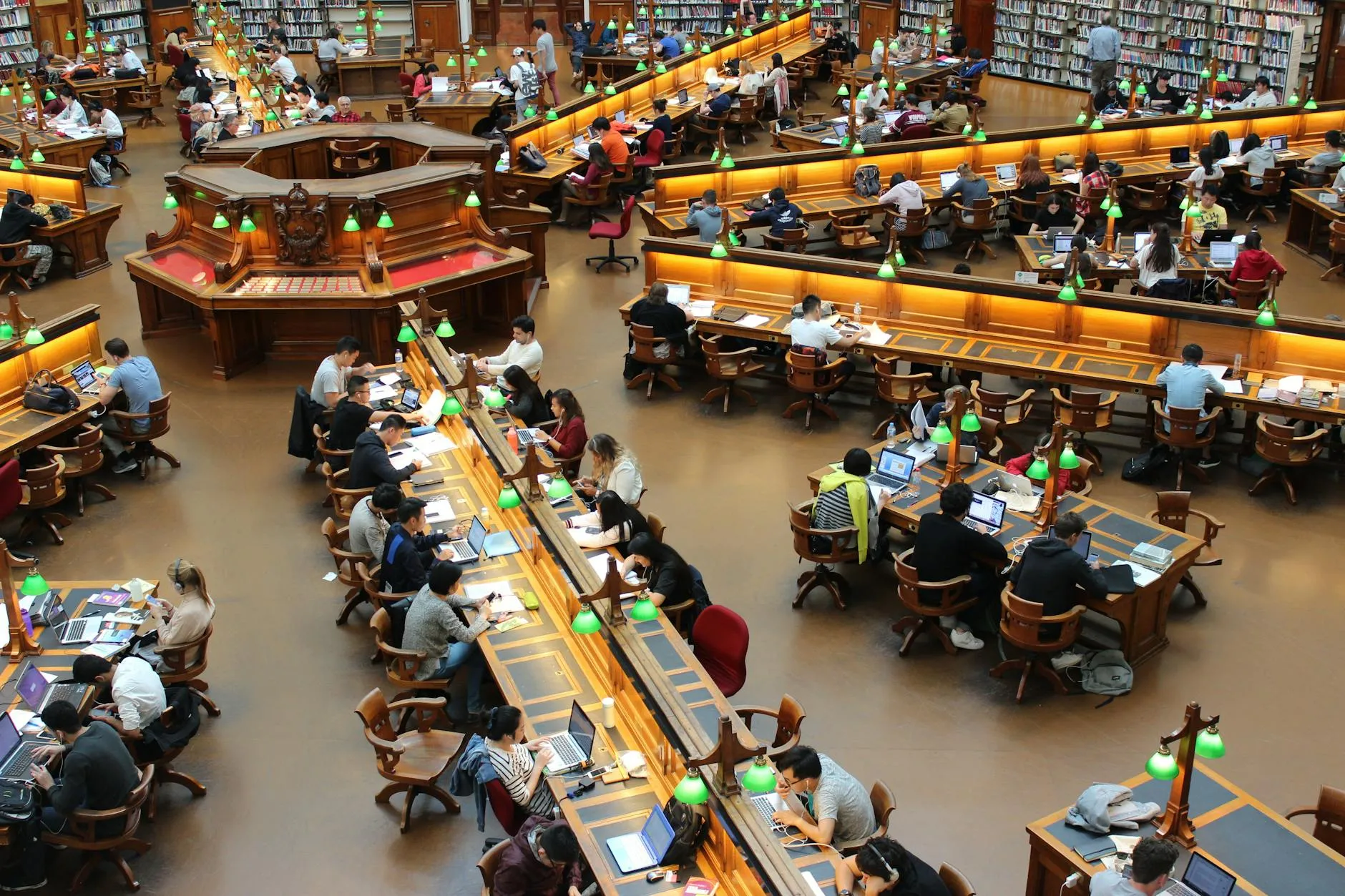 University student focused on laptop in a library
