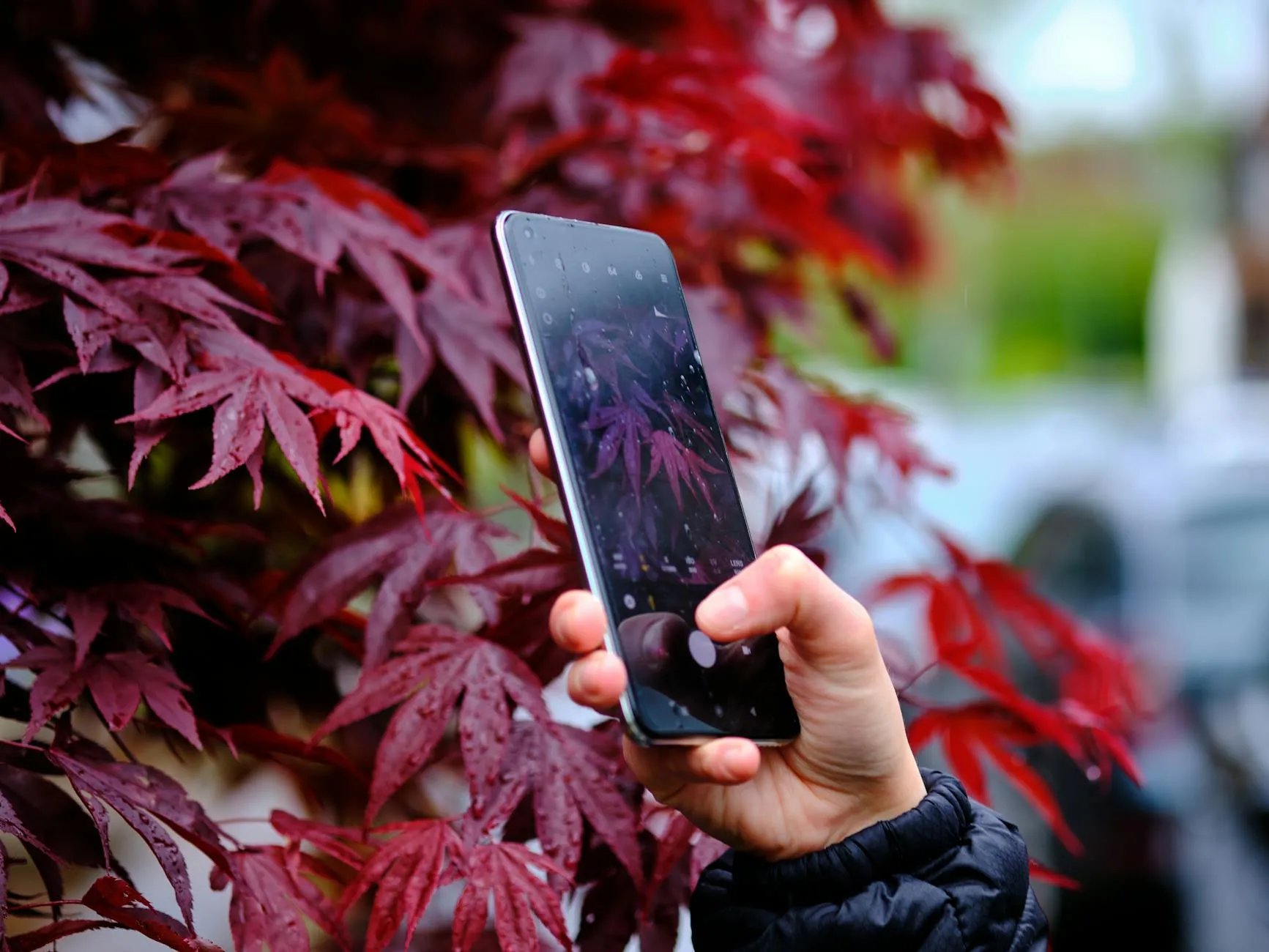 Close-up of a student's hands interacting with a vocabulary app on a phone