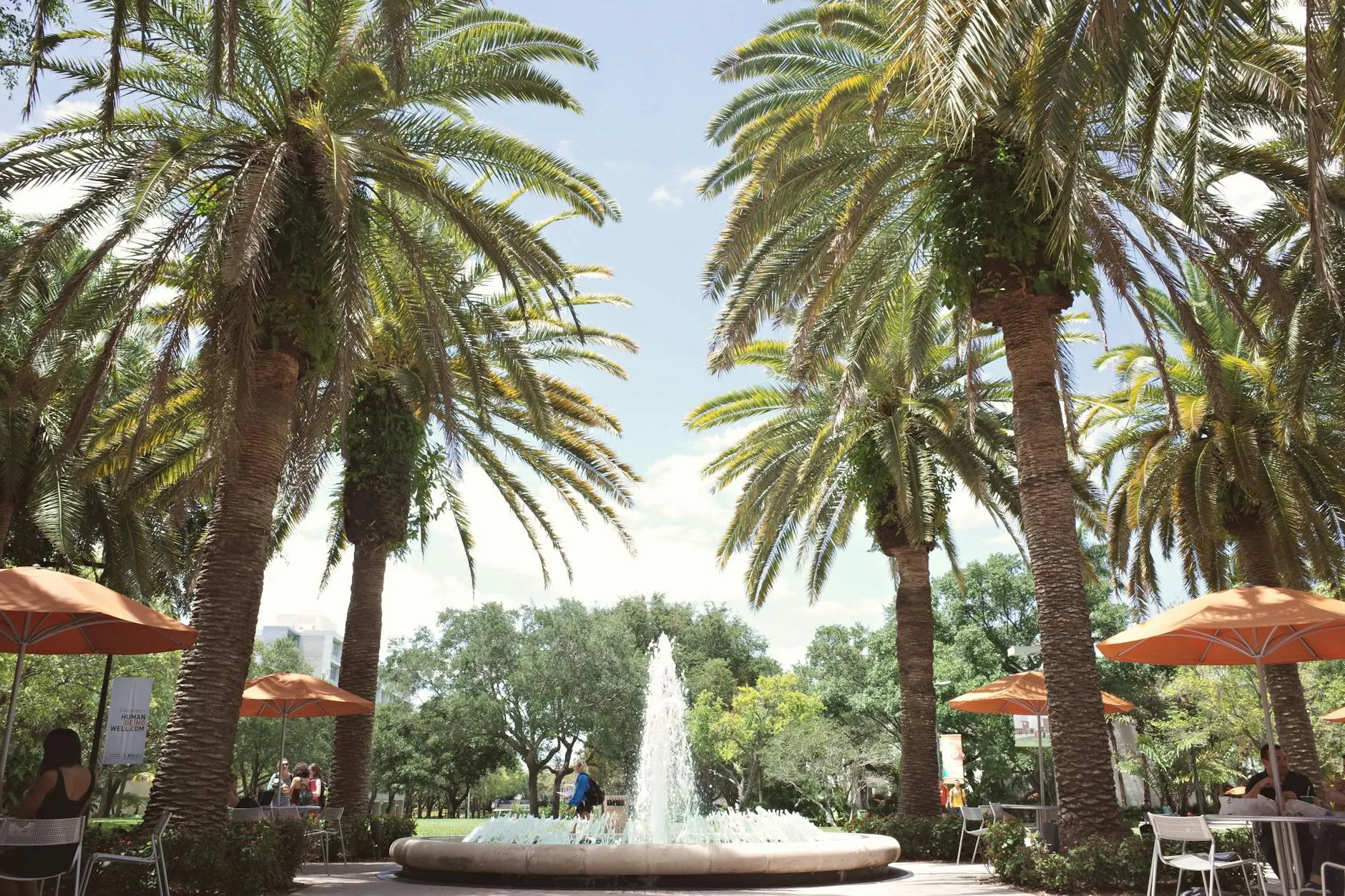 Master Your Courses – How an AI Learning Platform Elevates Student Success