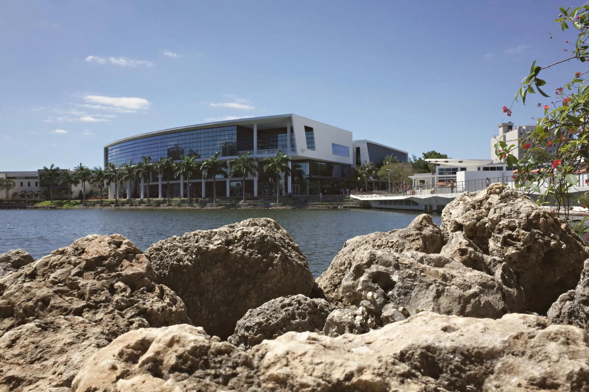 Dual Coding: Automate Visual Notes & Stop Wasting Time