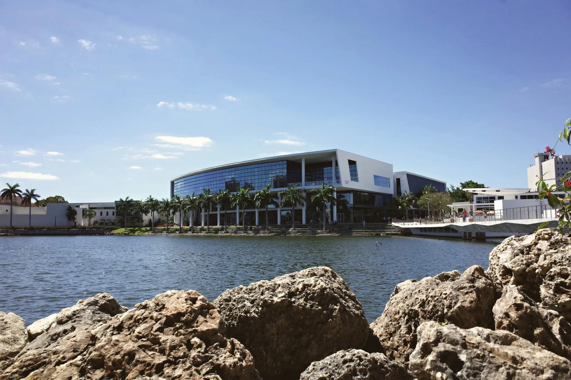 Spaced Repetition: Beat Brain Fog & Exam Stress