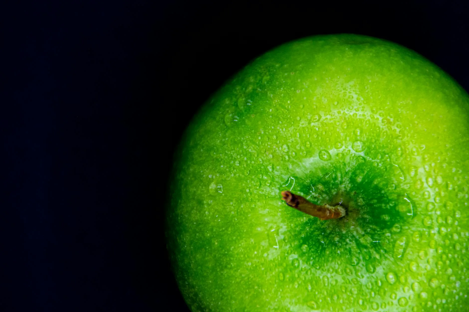 Close-up of student's hands holding an apple while studying in a library